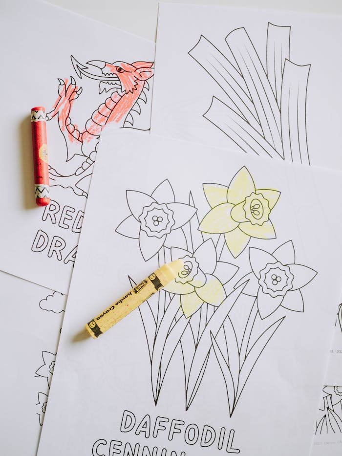 Coloring pages featuring a red dragon and daffodils with crayons scattered on a white background.