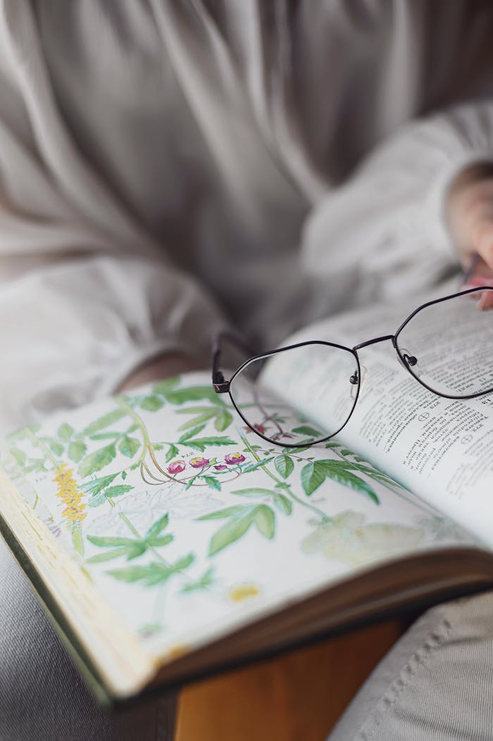 Open book with illustrated pages and eyeglasses in soft focus, creating a warm, intellectual vibe.